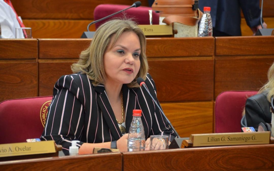 Fecha de elecciones juveniles en ANR se mantendrá