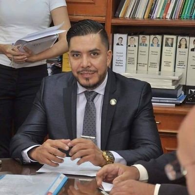 Portillo quiere ser intendente