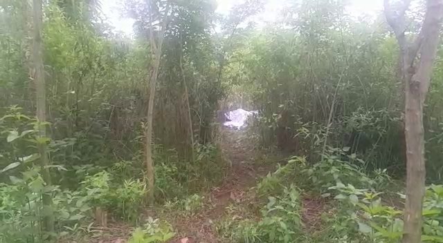Hallan cuatro cadáveres en Presidente Franco
