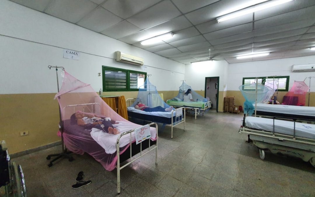 Confirman 4 muertes por dengue en lo que va del año