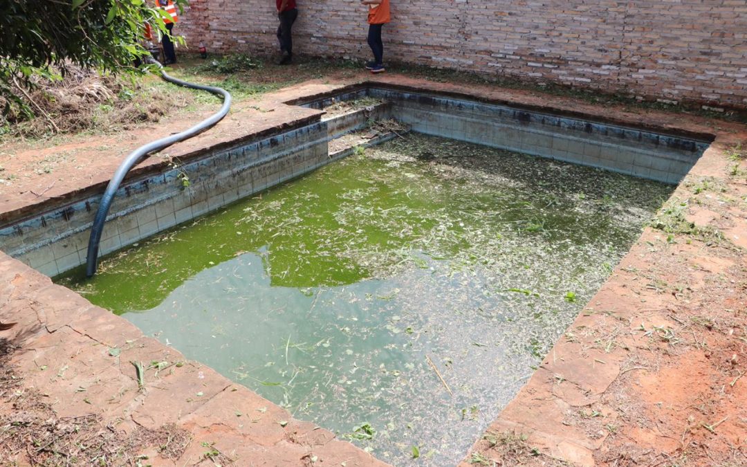Allanamientos en Lambaré y Fernando por criaderos de mosquitos