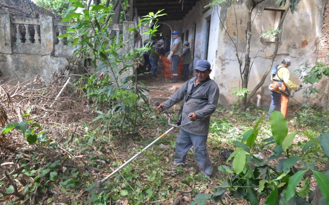 Asunción se declara en emergencia por el dengue
