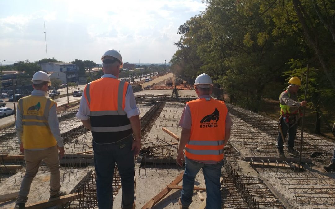 Avanza construcción del corredor vial Botánico