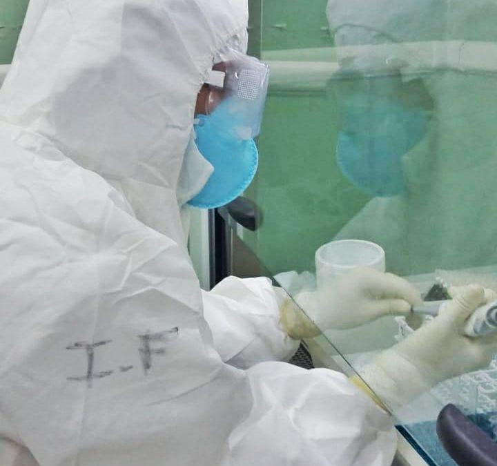 ¿Quiénes deben someterse al testeo del Covid-19?