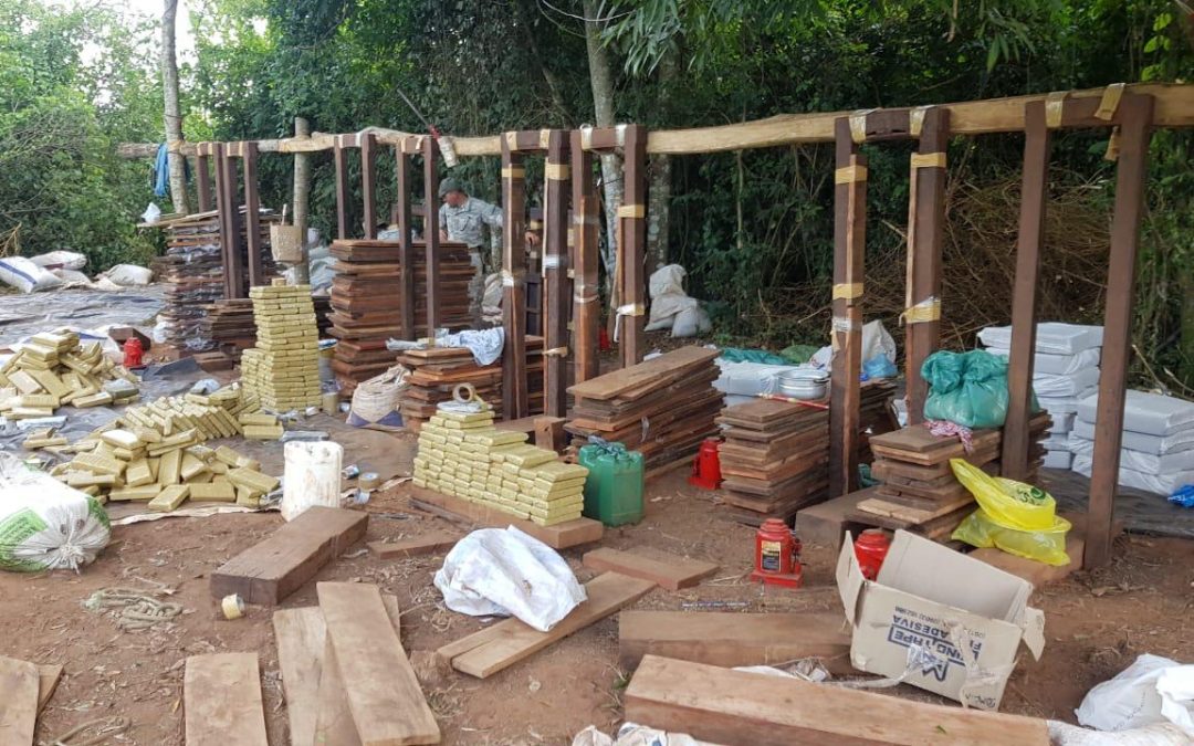 Destruyen un campamento de drogas en medio del bosque