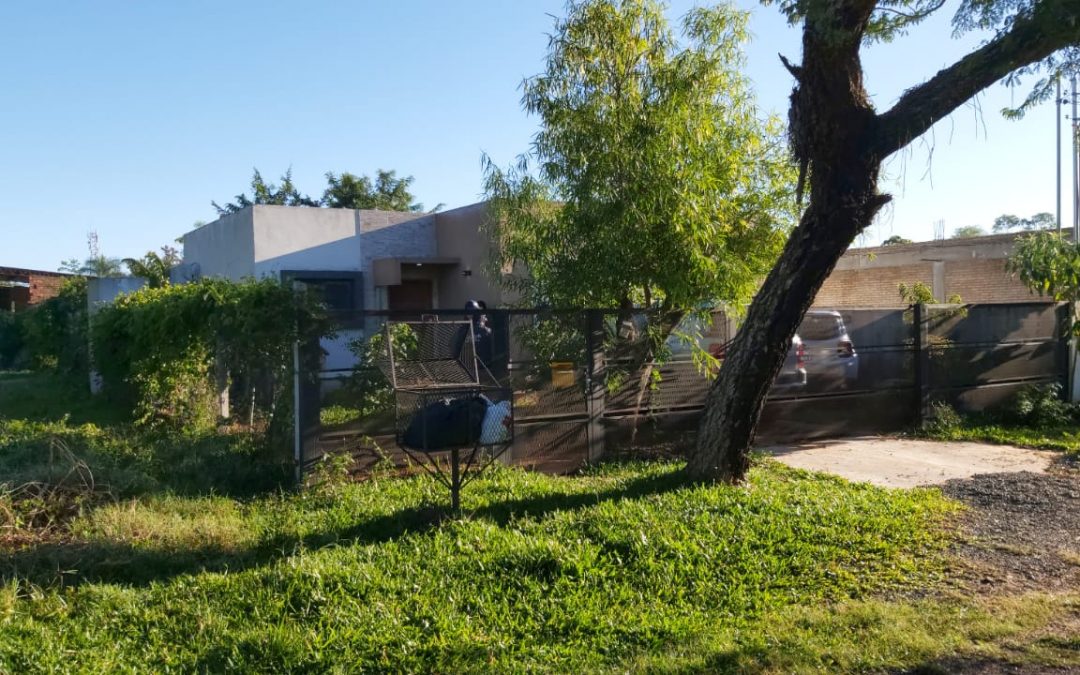 Realizan nuevo allanamiento en búsqueda de Juliette