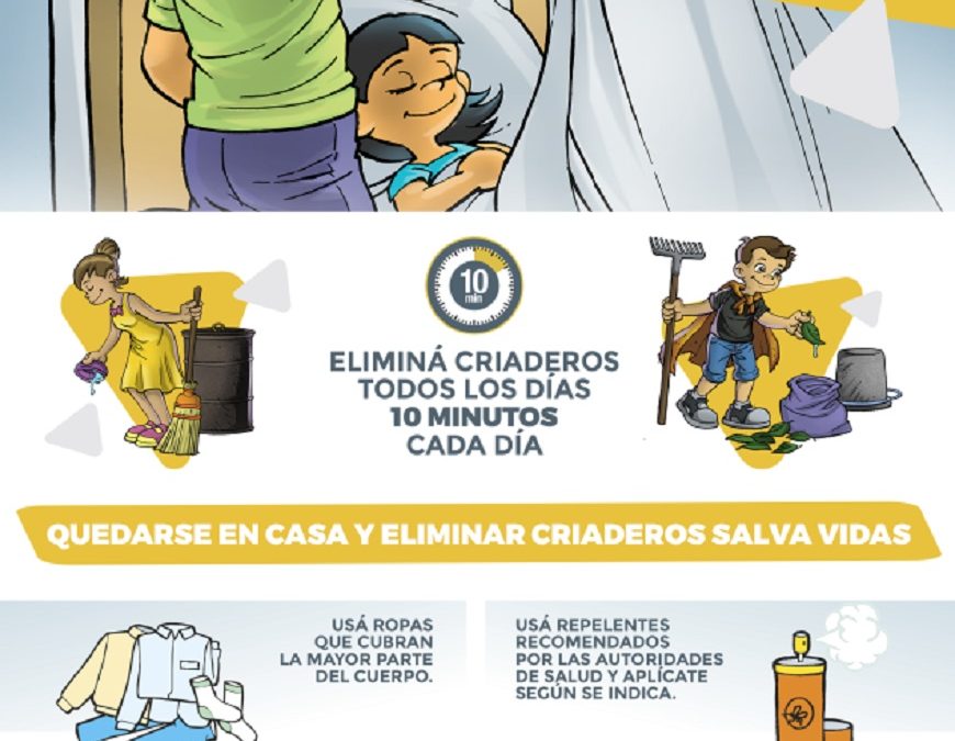Instan a eliminar diariamente criaderos de mosquitos, durante todo el año