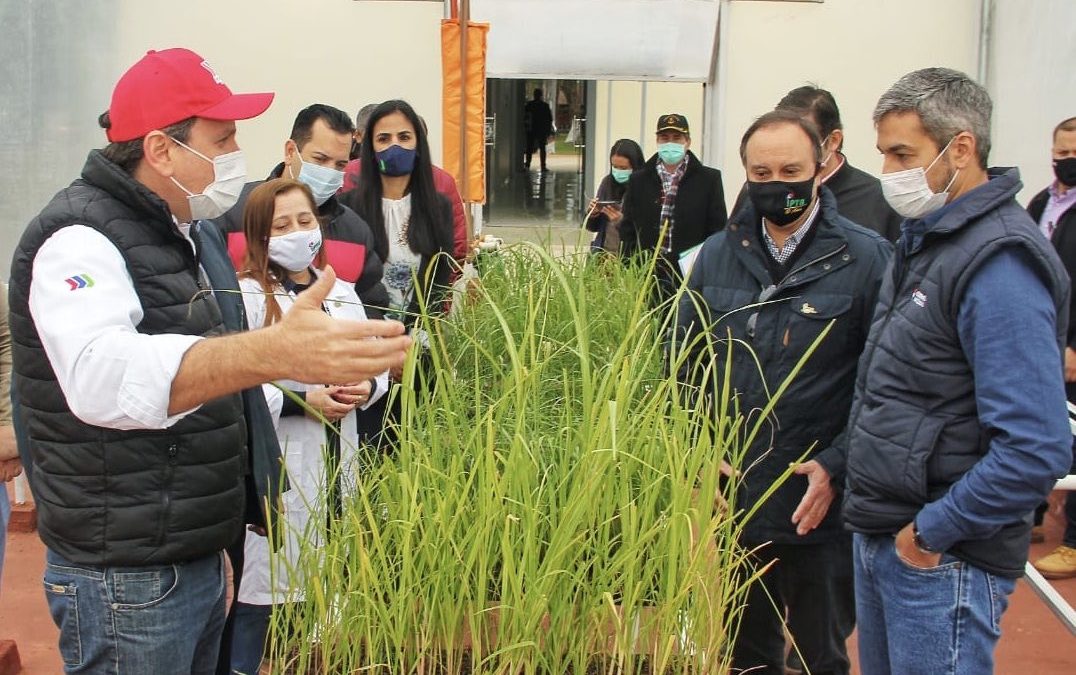 Inauguran laboratorio de biotecnología en Planta Alcoholera de Troche