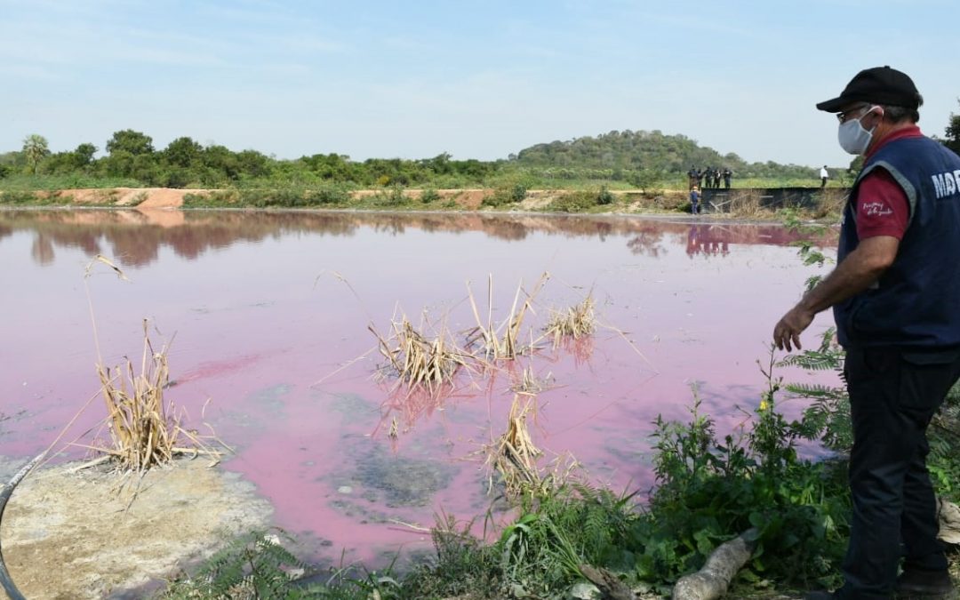 Suspenden actividades de Waltrading SA tras allanamiento de MADES