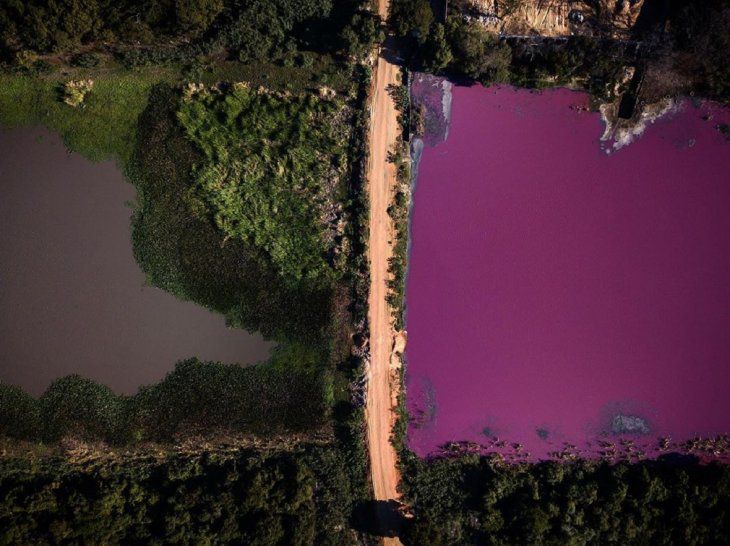 MADES solicita cierre definitivo de empresa que contaminó Laguna Cerro