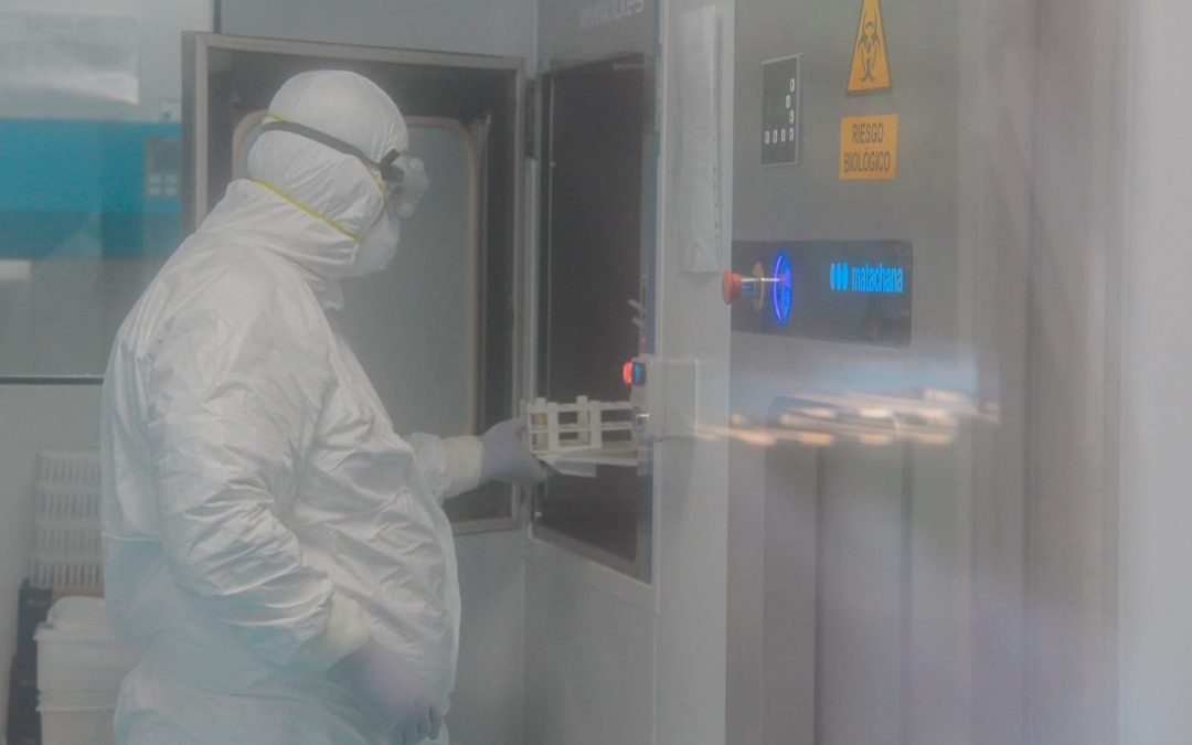 Covid-19: Toma de muestras y entrega resultados se normalizará en la próxima semana