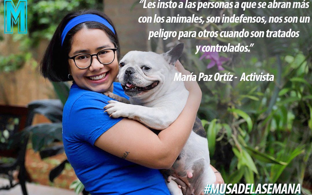 Un ejemplo digno de imitar: Maria Paz, al rescate de los perritos en la calle