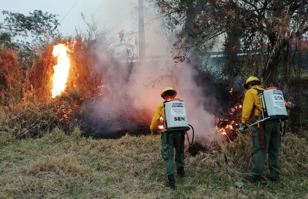 Incendio de grandes proporciones en ruta Luque-San Ber fue controlado