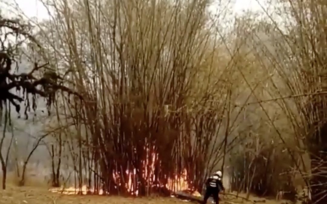 Reportan principio de incendio en el Jardín Botánico de Asunción
