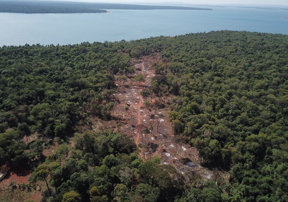 Empresarios critican actitud de FG y PDP de promover invasiones de tierras
