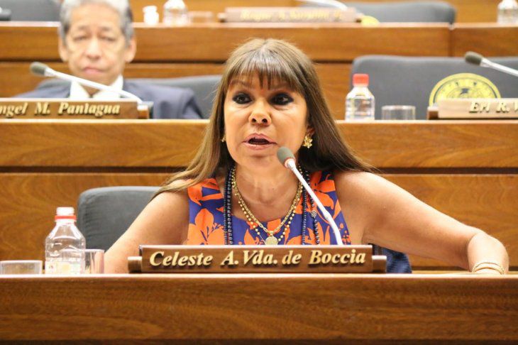 Cámara de Diputados sanciona a legisladora Celeste Amarilla