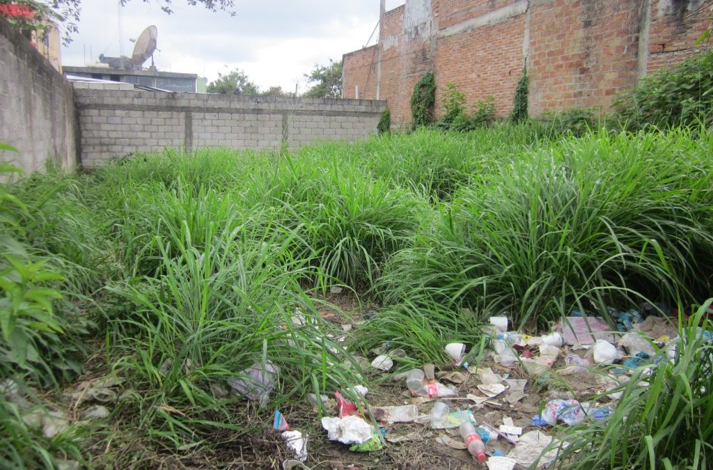 Comuna de Asunción multará a propietarios de terrenos baldíos sin limpieza