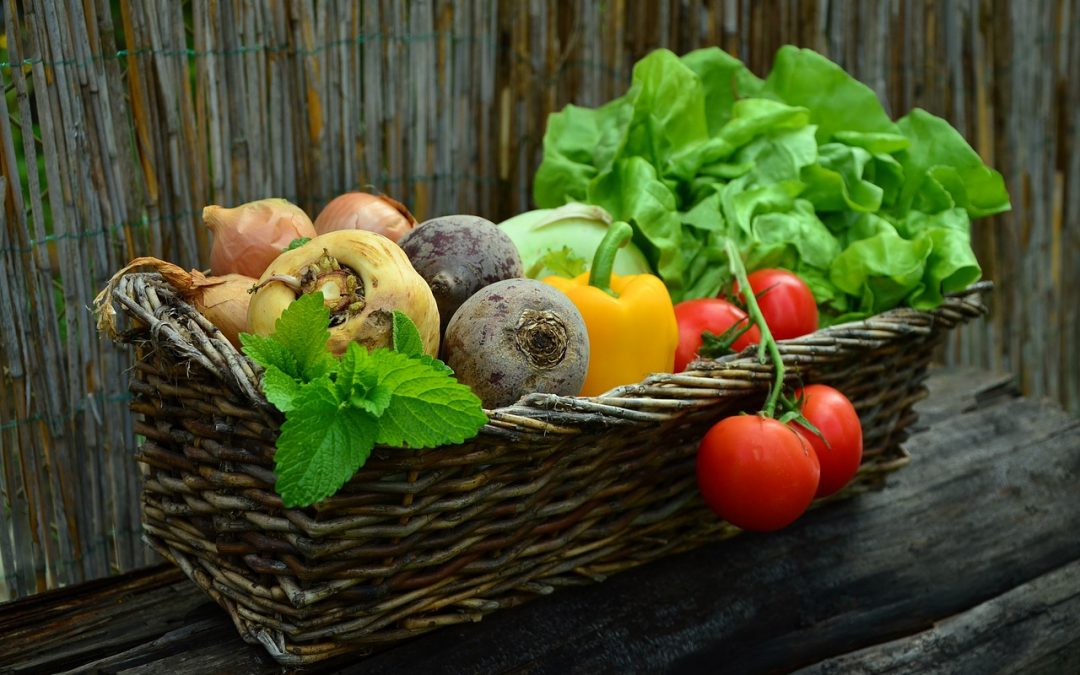 Día Mundial de la Alimentación y Nutricionista: Algunos tips para cuidar la salud