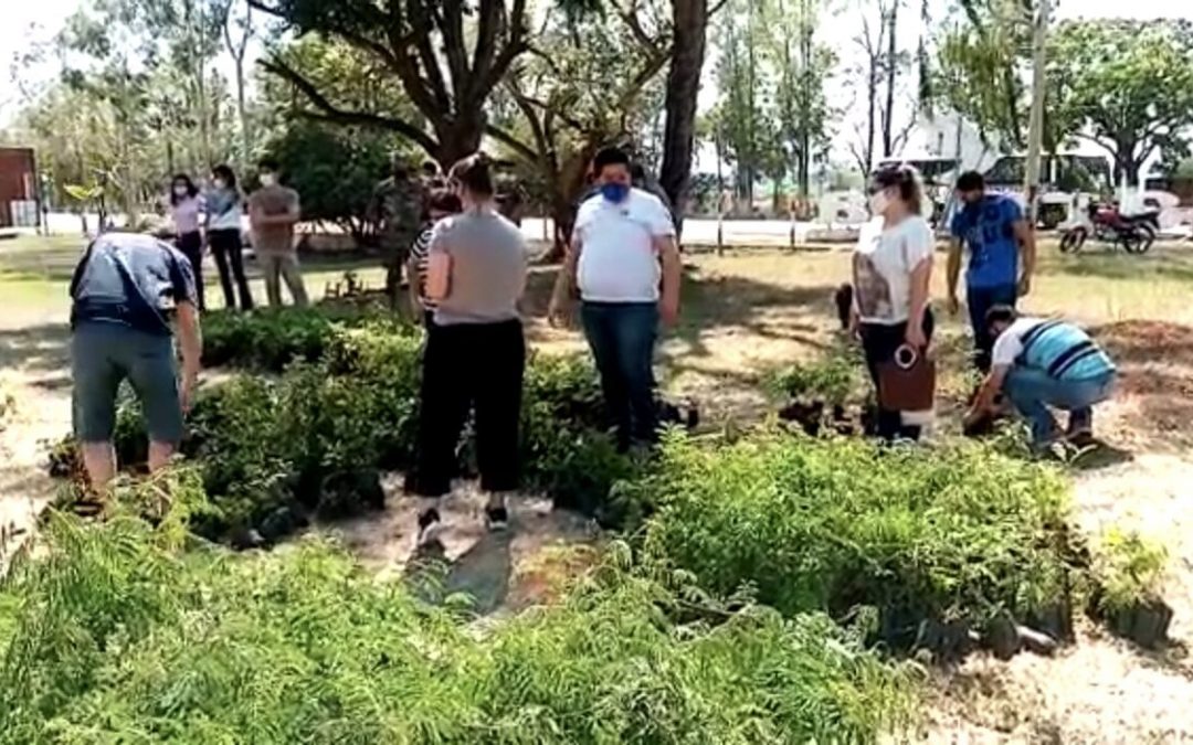 Plantatón se llevó a cabo en varios puntos de nuestro país