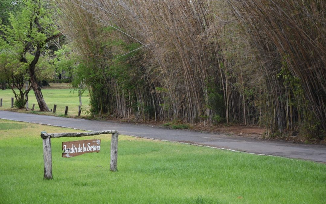 Jardín Botánico está habilitado solo para actividades físicas