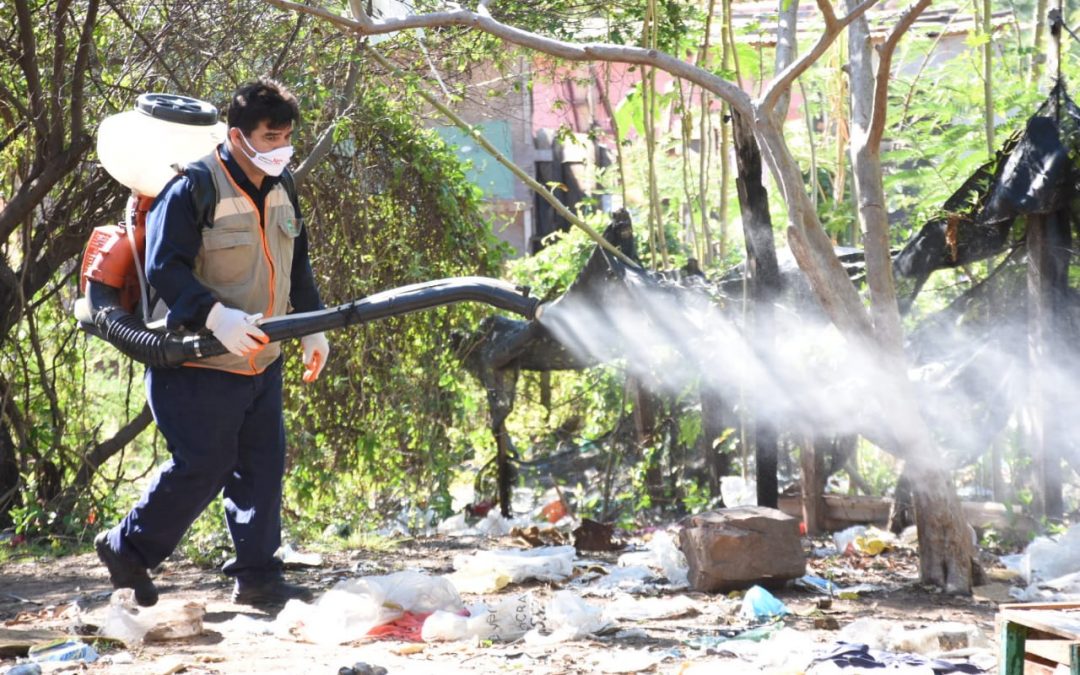 Salud reporta aumento de notificaciones de casos sospechosos de dengue
