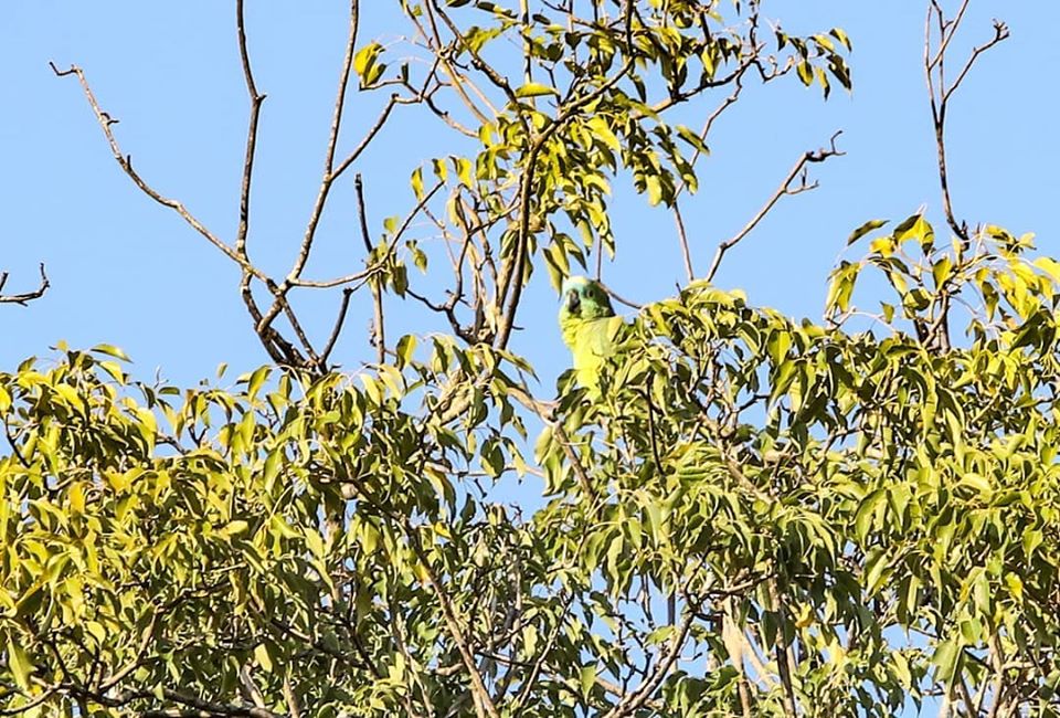 Aumento de temperaturas inicia este domingo y llegará a calores extremos