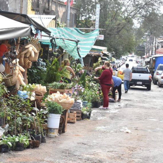 Covid-19: El impacto de la pandemia en la economía
