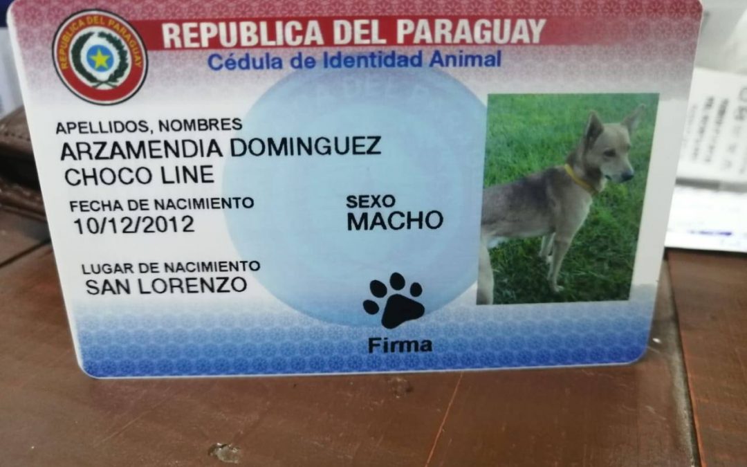 Volverán a comercializar cédulas de mascotas