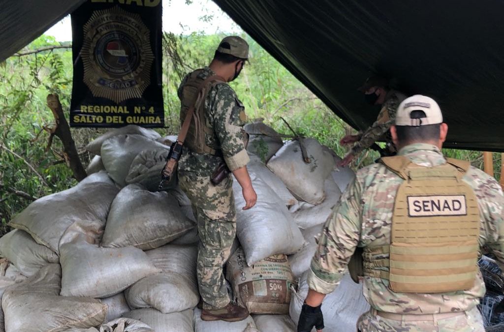 Destruyen campamento narco y más de 8 toneladas de marihuana