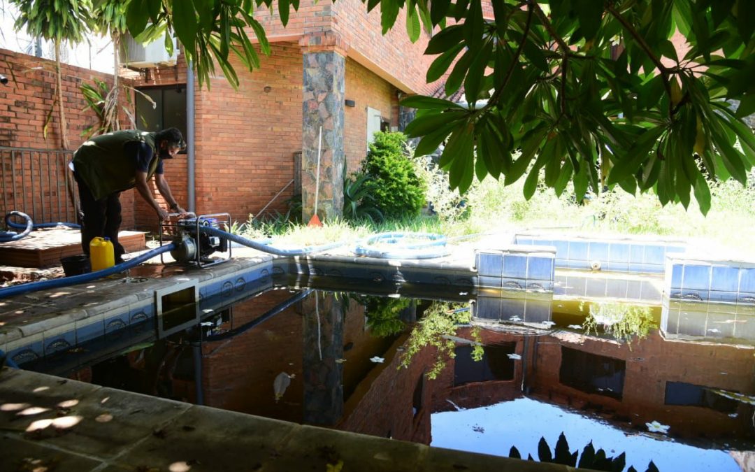 Dengue: brindan asesoría jurídica gratuita para denunciar criaderos