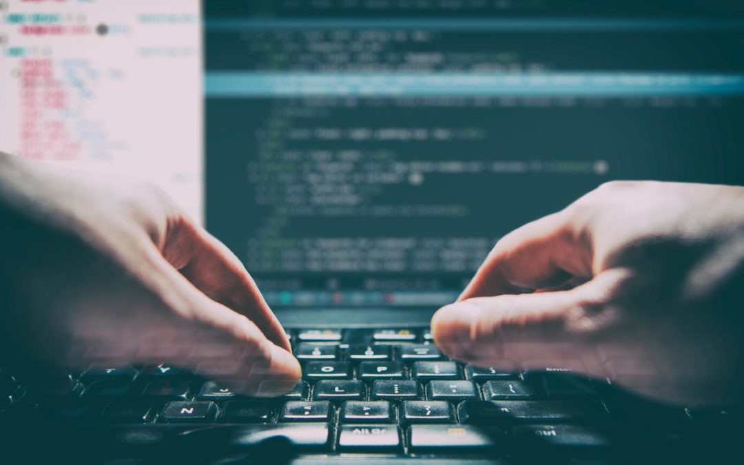 MEC alerta sobre sitio web falso