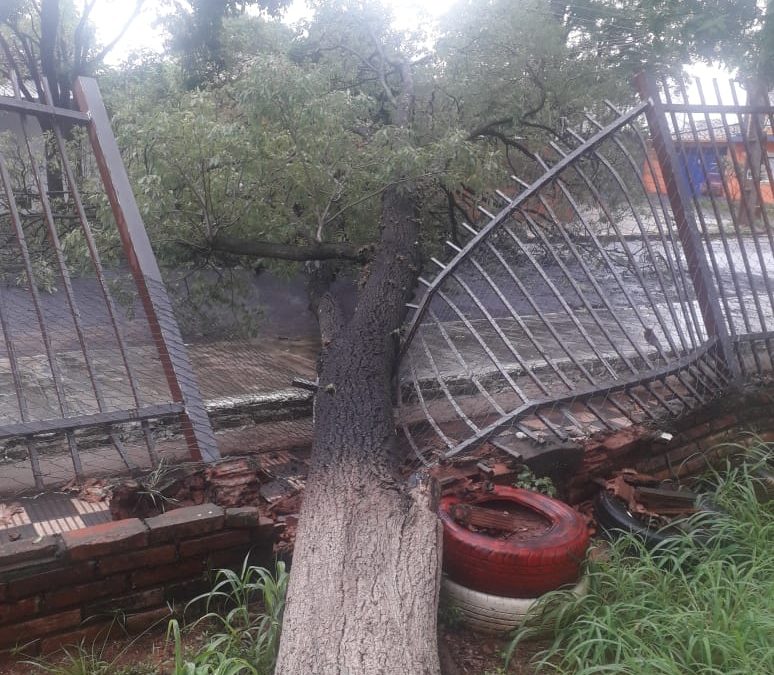 Destrozos a causa del temporal en Colegio Ysaty