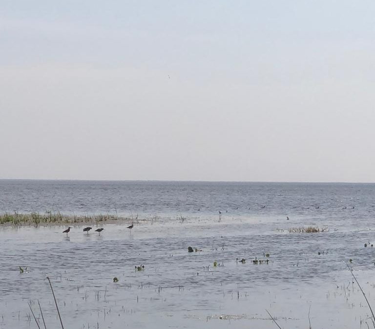Lago Ypacaraí registra crecimiento a raíz de las intensas lluvias