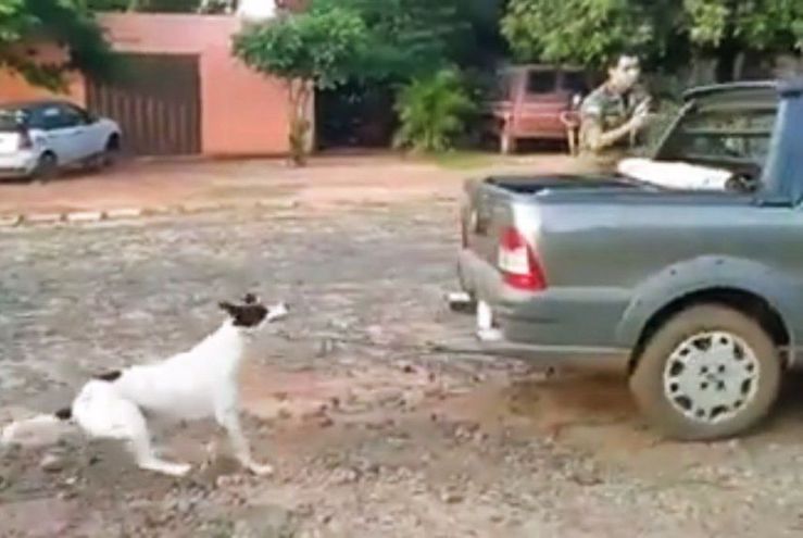 Caso “Tyson”: Madre e hija se declaran culpables y aguardan sentencia