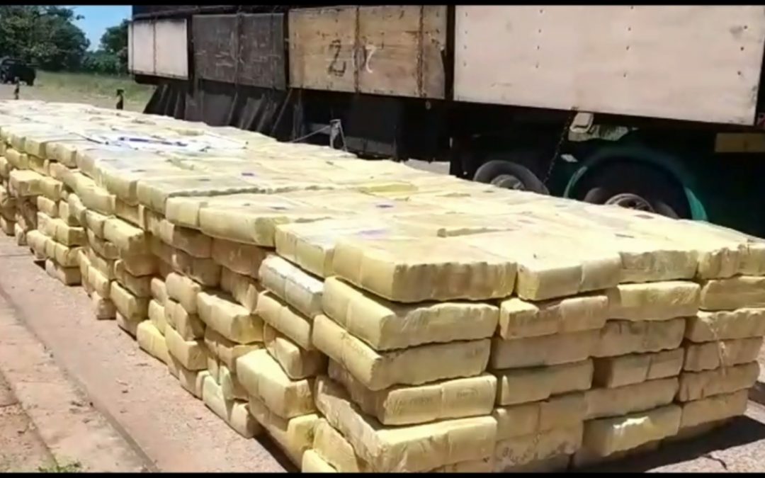 Incautaron más de 15 mil kilos de marihuana en San Pedro