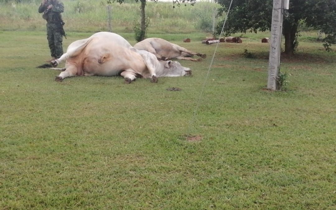 Responsables del ataque a estancia en Paso Barreto podrían ser miembros del ACA