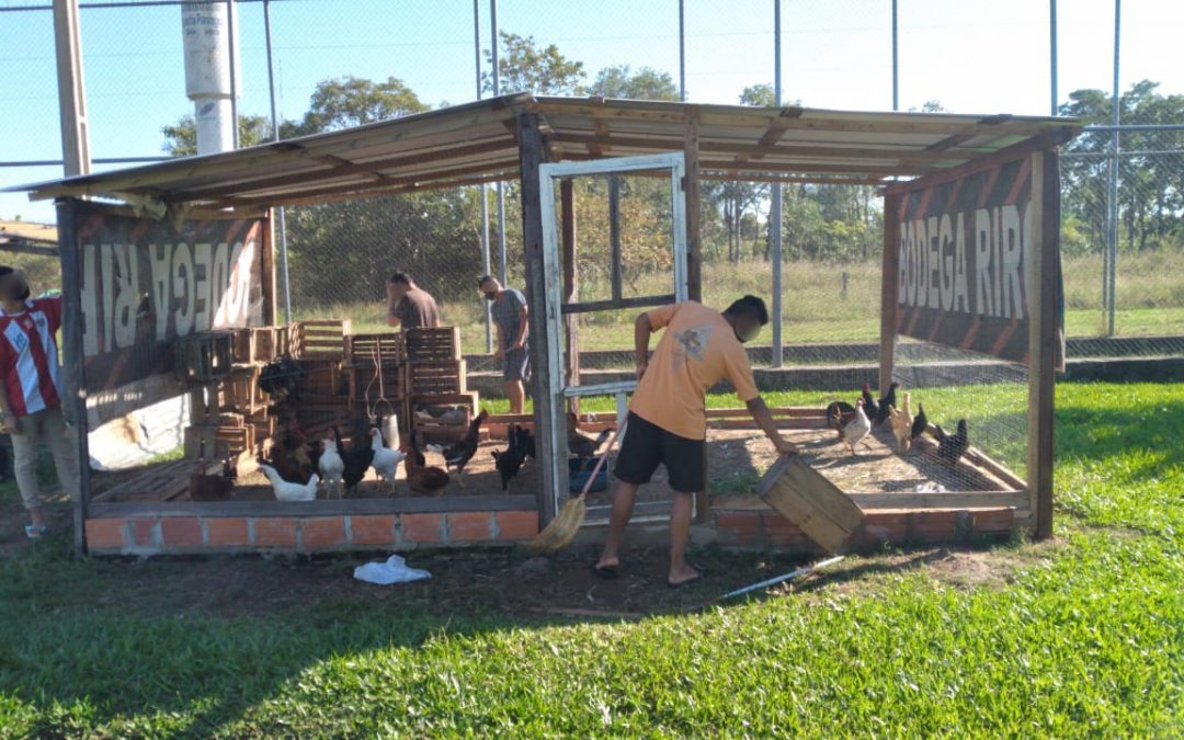 ​Implementan proyectos productivos para jóvenes infractores