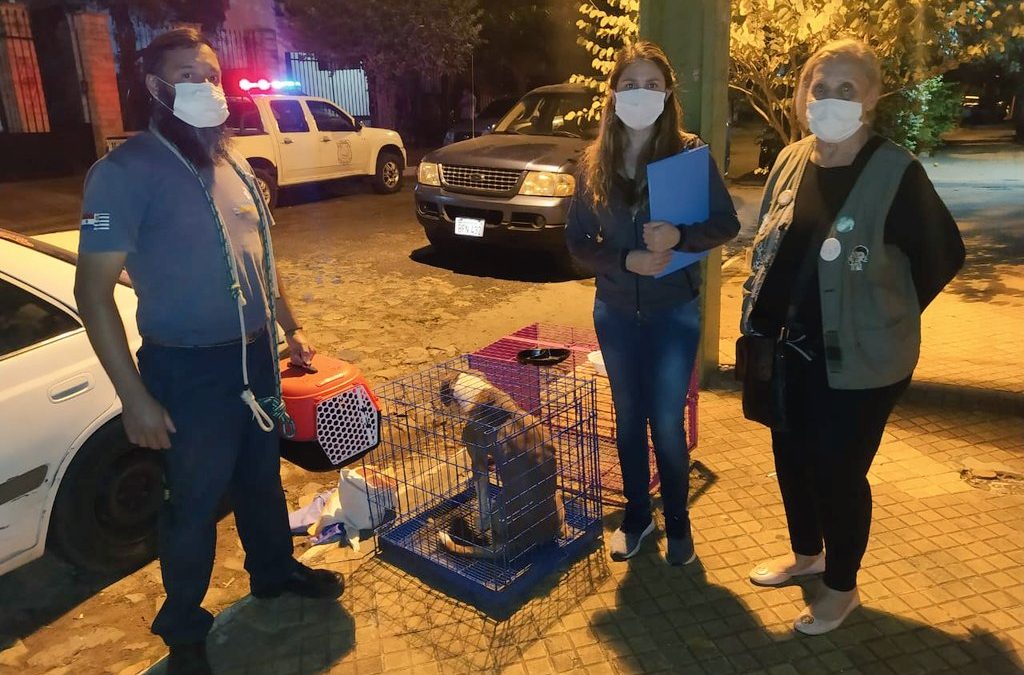 Acudieron a denuncia de abandono animal y encontraron muerta a la dueña