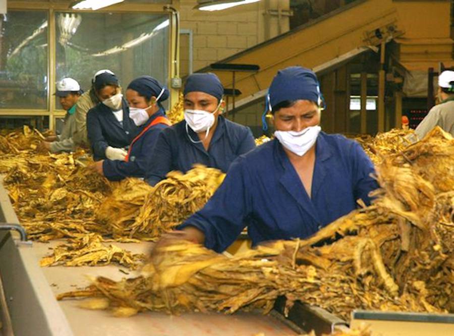 Informe sobre tabacaleras: Cadep se retracta y reconoce datos falsos