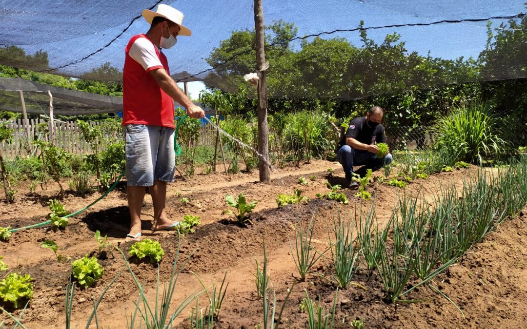 Población penitenciaria produce alimentos a través del programa de reinserción social