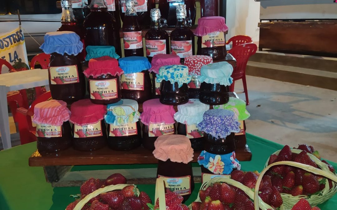¡Productores de Areguá ya esperan a los amantes de la frutilla!