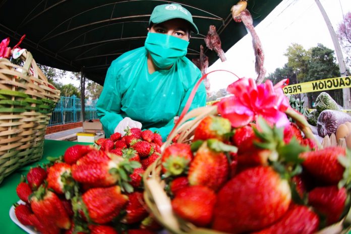 Feria de frutillas: productores esperan a sus clientes en la Costanera de Asunción