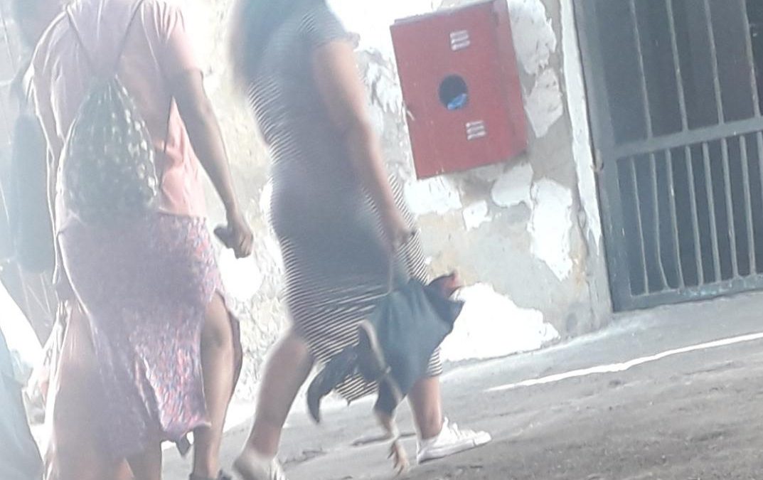 Pelea de gallos en Tacumbú: Ministerio de Justicia intervino penal