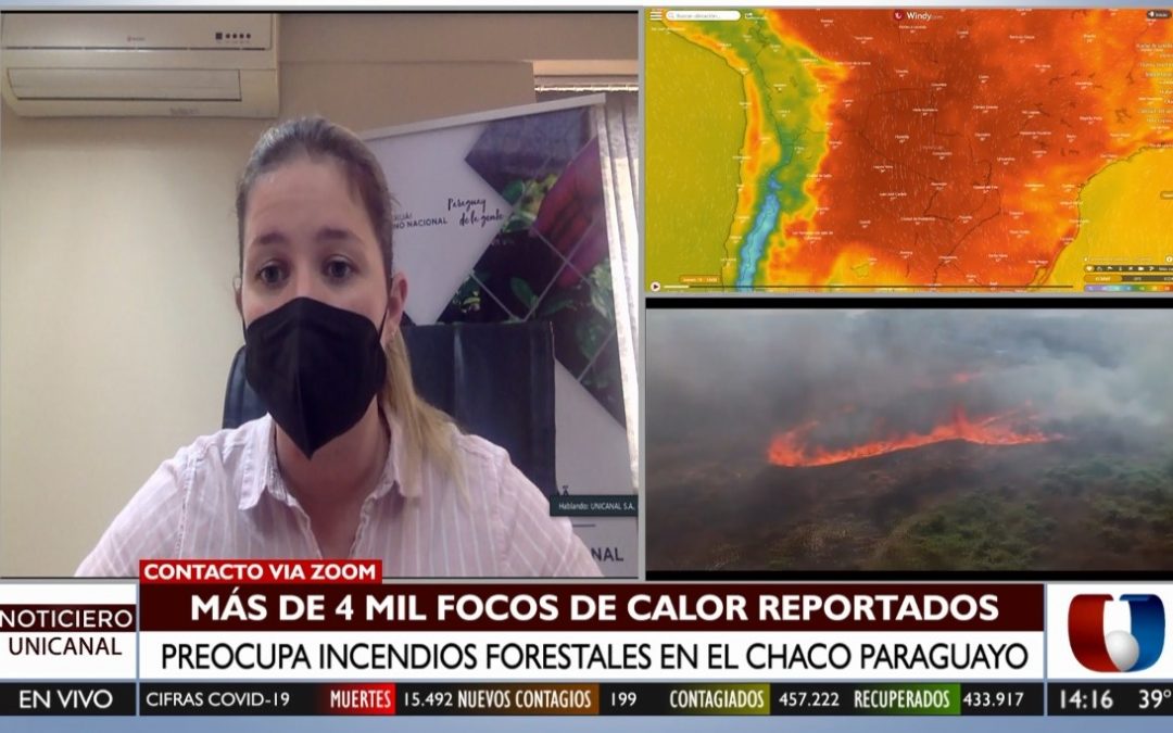 Infona llama a conciencia para evitar incendios forestales