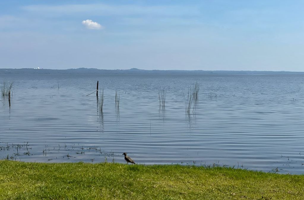Reportan progresiva mejoría en la calidad del agua del lago Ypacaraí