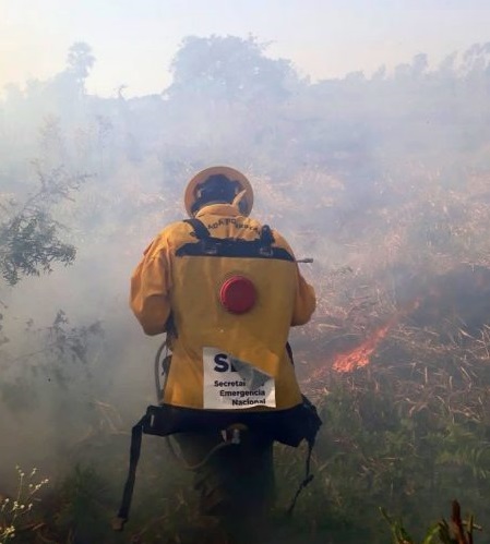 Senado solicitó declaración de emergencia nacional ante incendios