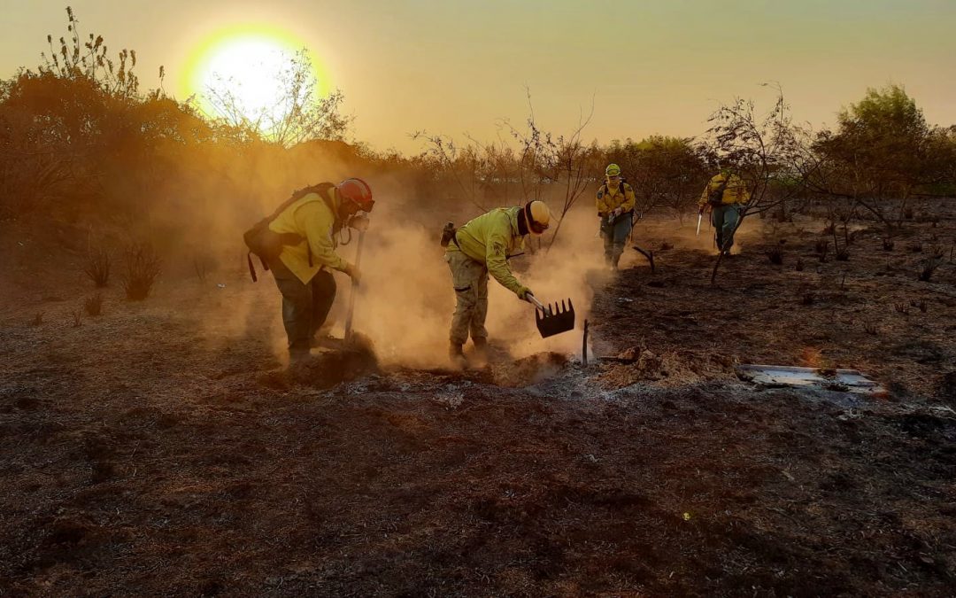 Incendios forestales: “Hay un respiro”, afirma Joaquín Roa