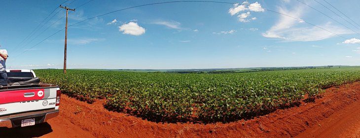Senado tratará hoy proyectos para elevar sanciones a invasores de tierras
