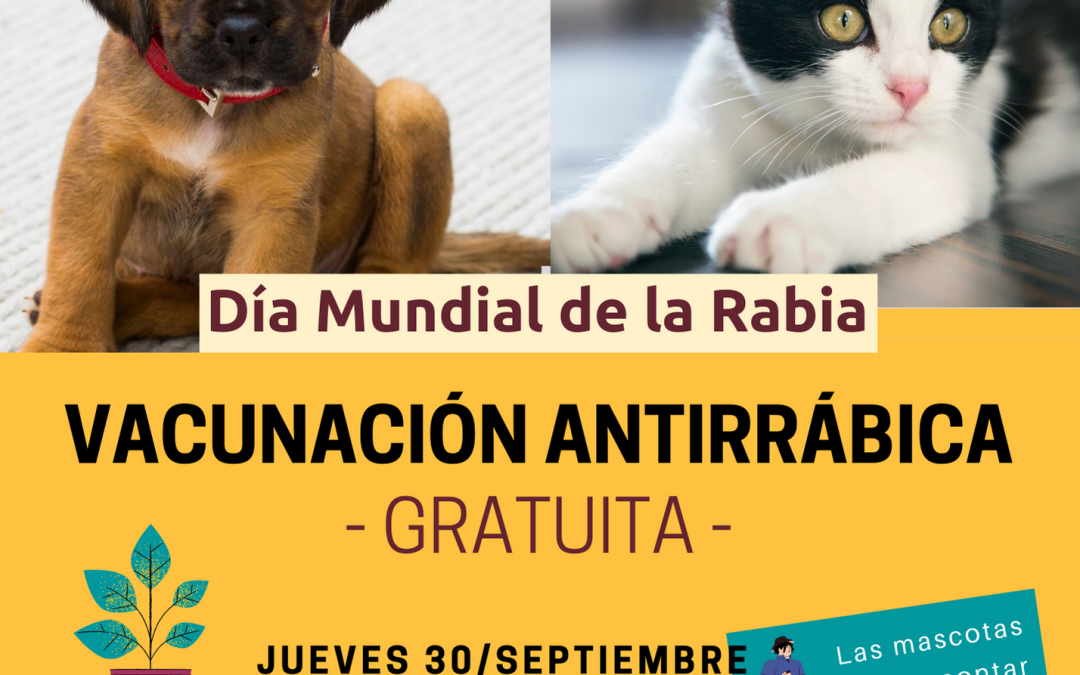 Este jueves, vacunación antirrábica gratuita para perros y gatos