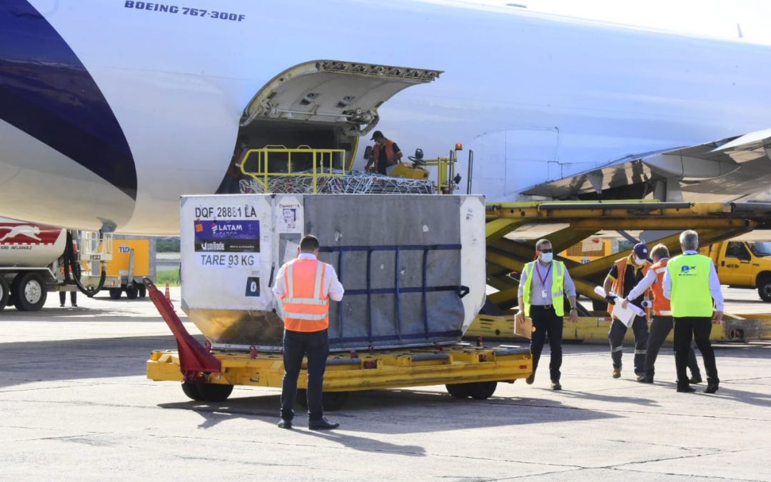 39.600 vacunas anticovid llegarán mañana vía Covax